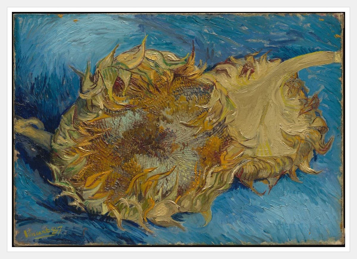 Sunflowers - White Frame